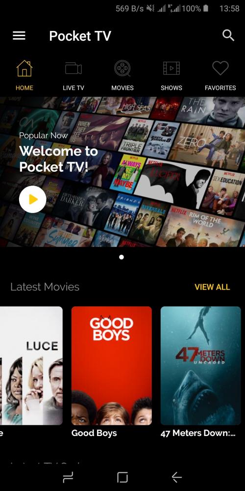 Pocket TV MOD APK Interface